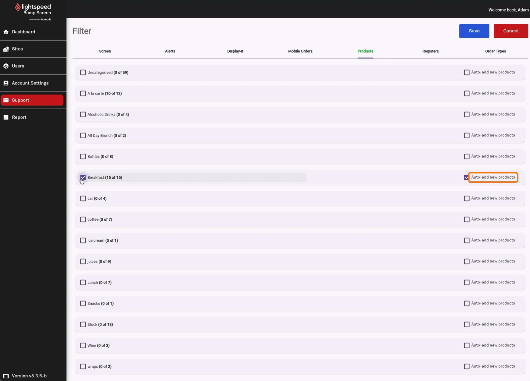 Auto-add new products enabled on a category